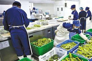 图 物美价廉诚信推荐商家专业蔬果粮油生鲜肉制品配送 重庆生活配送